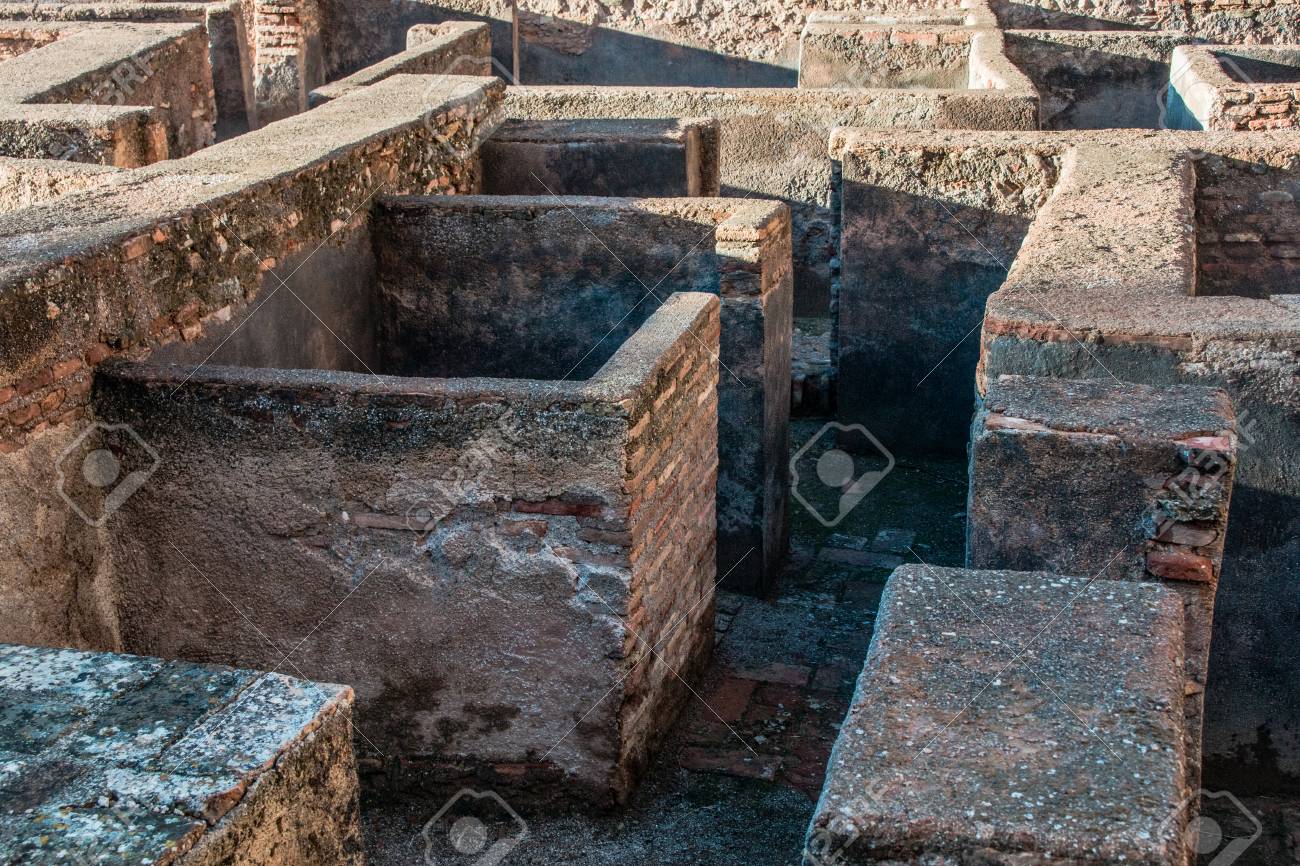 etiam-dictum-ipsum-a-felis