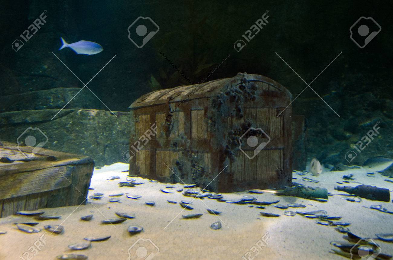 underwater treasure chest box site on the sea floor stock photo