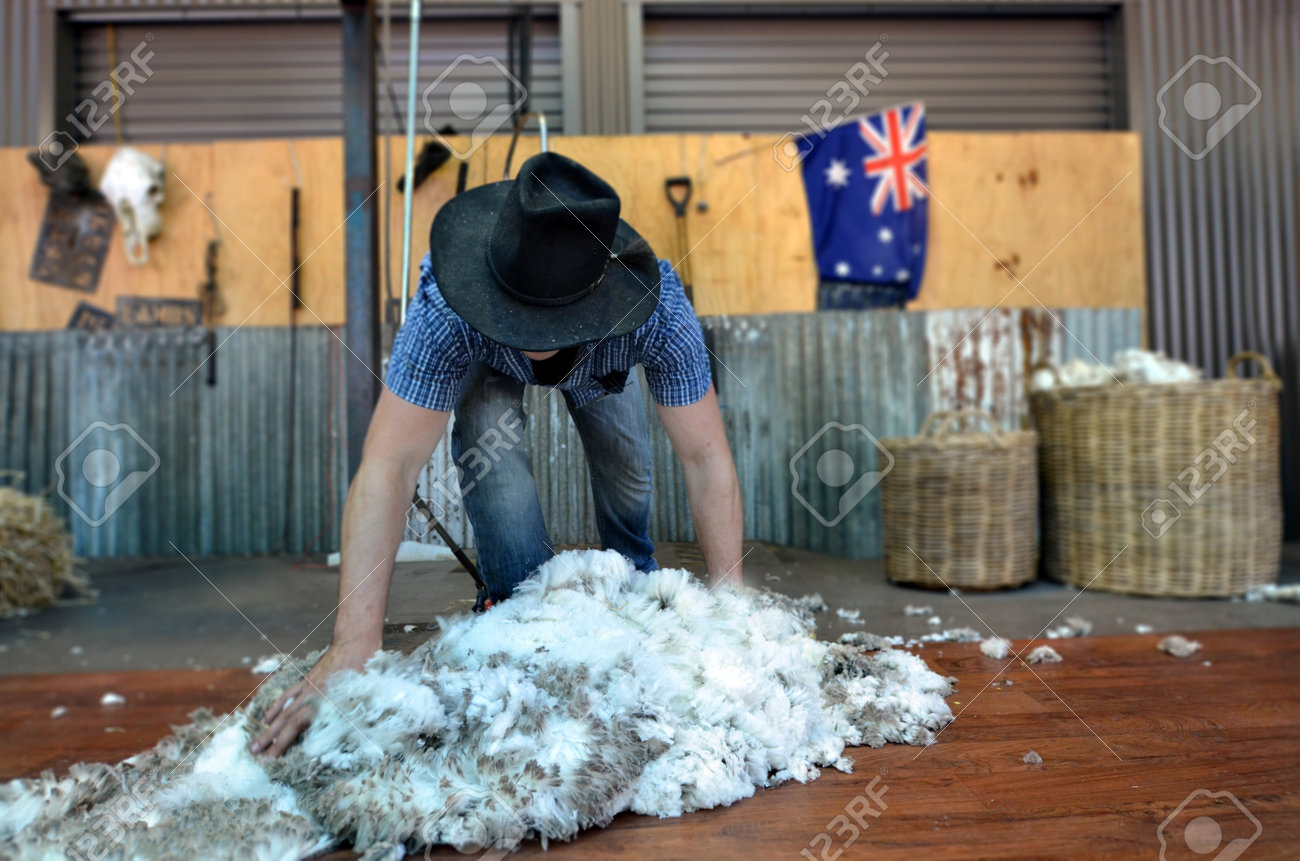 shearers australia