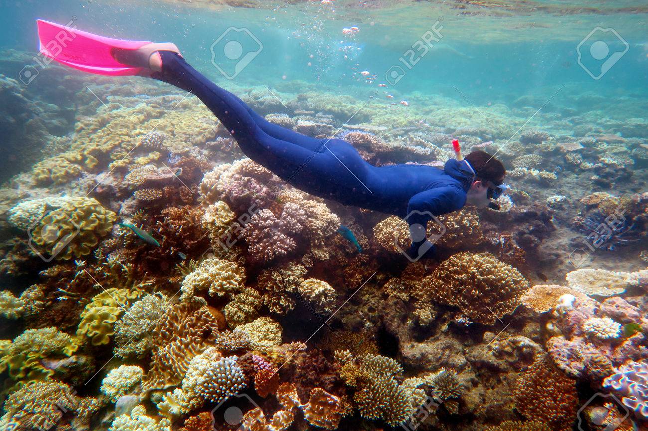 Woman snorkeling dive in the Great Barrier Reef Queensland Australia - 57327028 Woman snorkeling dive in the Great Barrier Reef Queensland Australia - 57327028