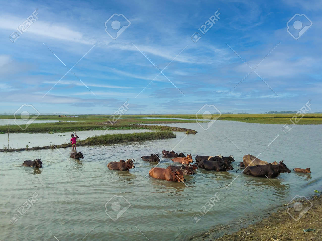 etiam-dictum-ipsum-a-felis