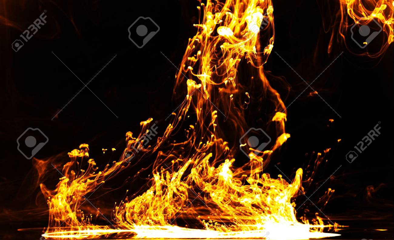 etiam-dictum-ipsum-a-felis