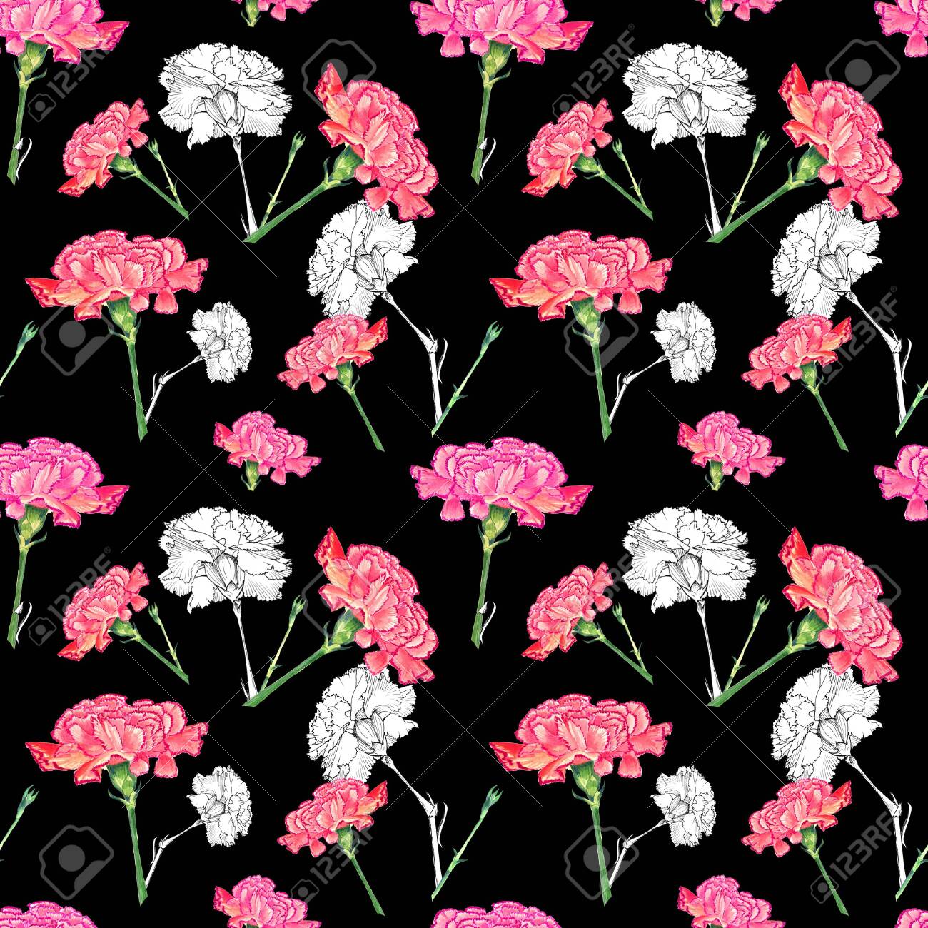 Carnation Flowers On Dark Background Mixture Of Watercolor And Stock Photo Picture And Royalty Free Image Image 127680975