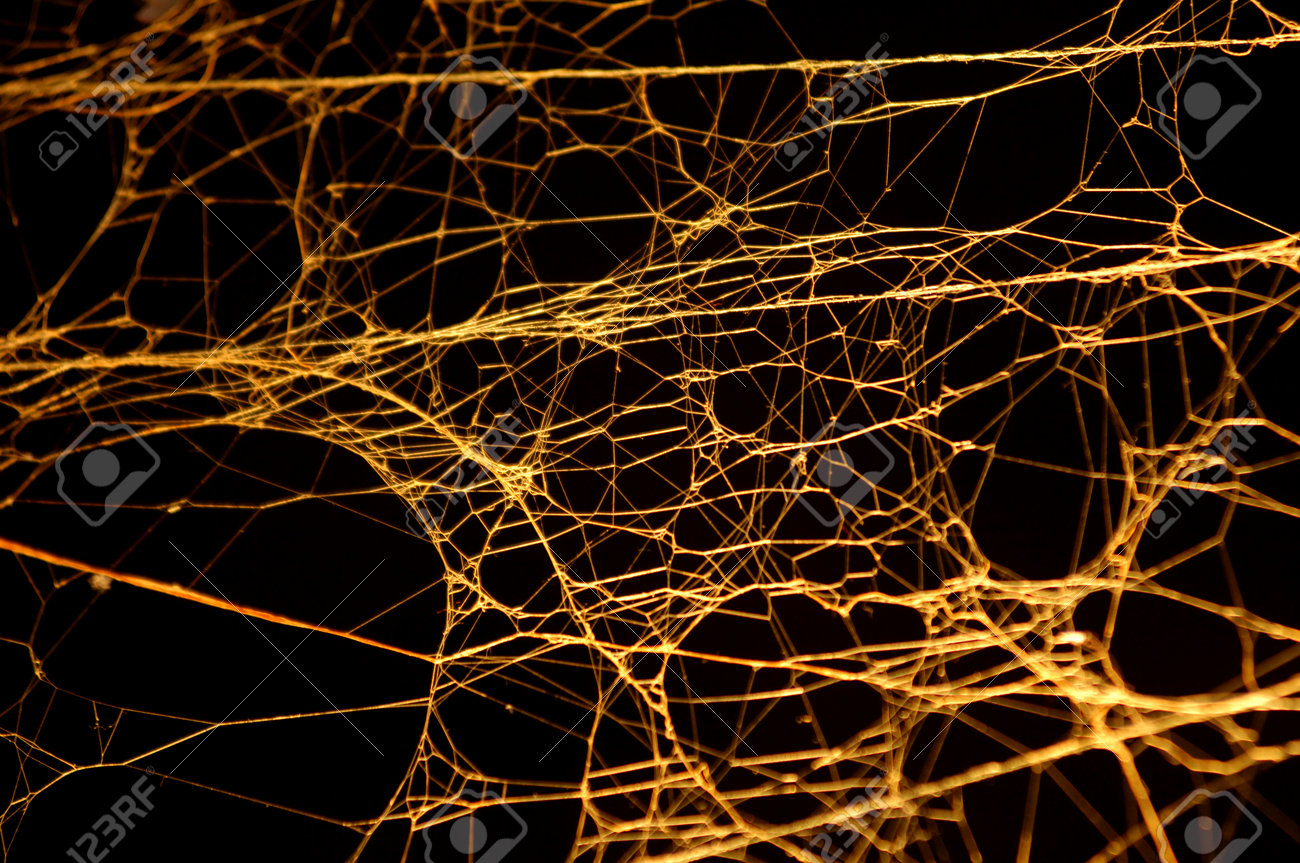 etiam-dictum-ipsum-a-felis