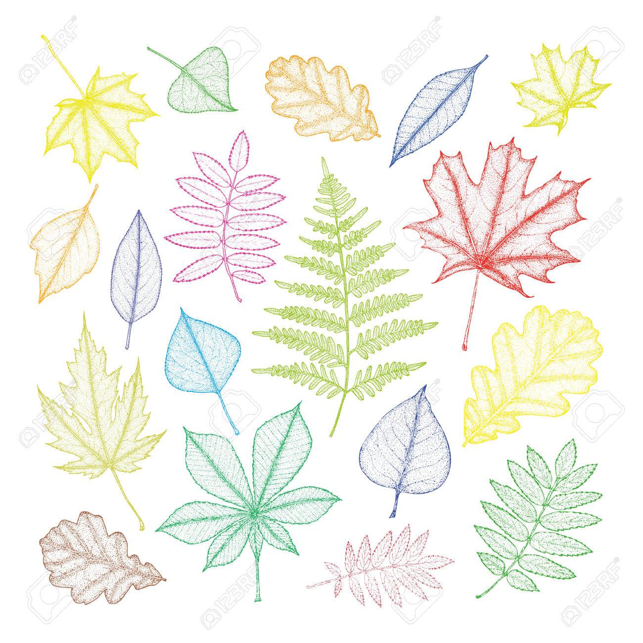 Artista Crea Dibujos En Hojas De Arboles Con Solo Una Navaja Cartoon Pintado Verde Hojas De árbol Dibujos De Arboles Pintado A