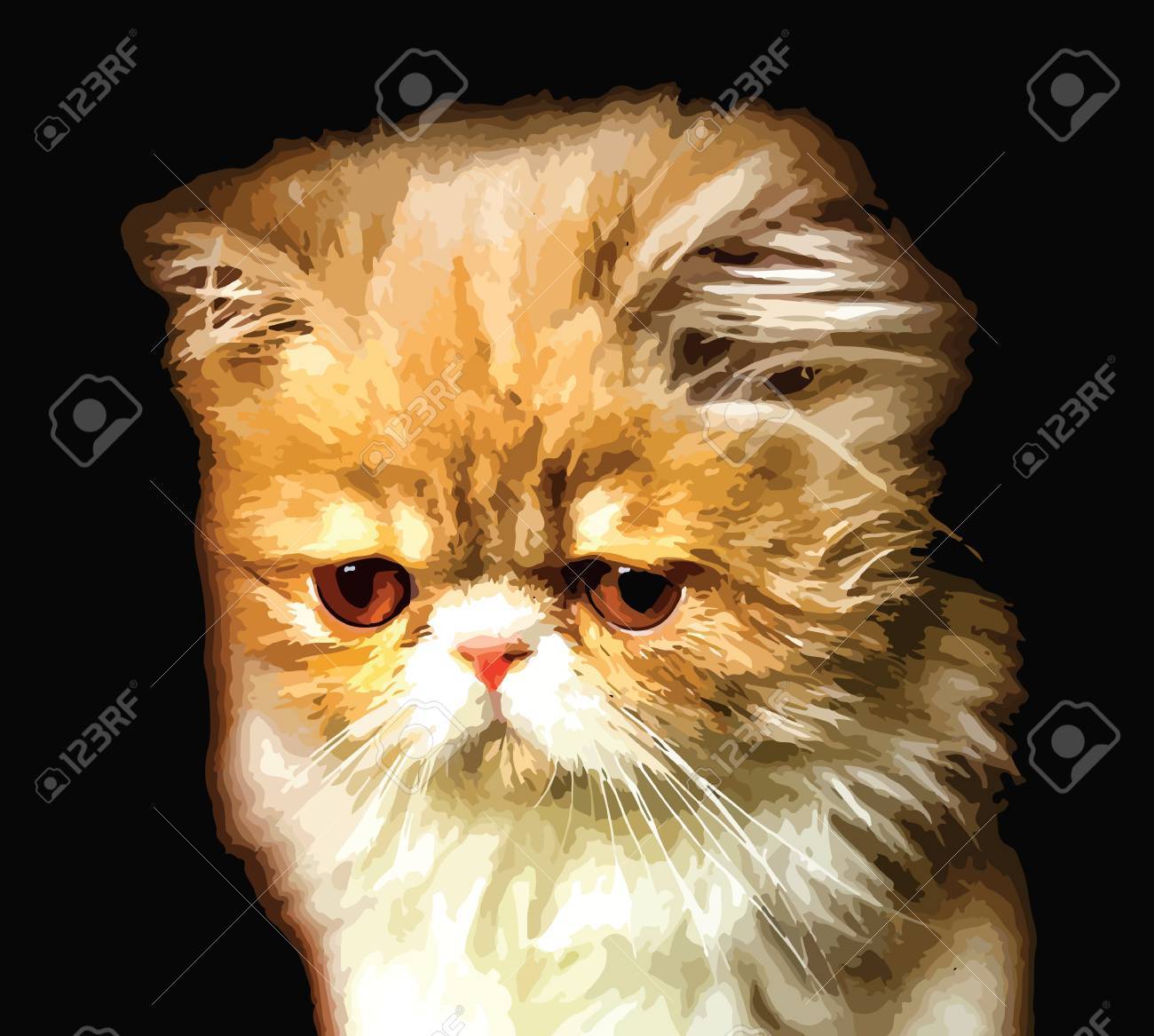 Orange and White Persian Cat on the Table · Free Stock Photo, image size:1300x1167