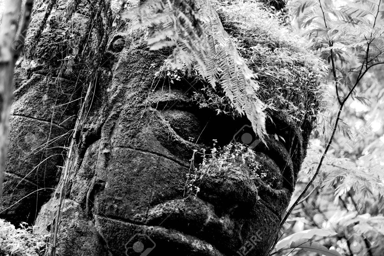 etiam-dictum-ipsum-a-felis