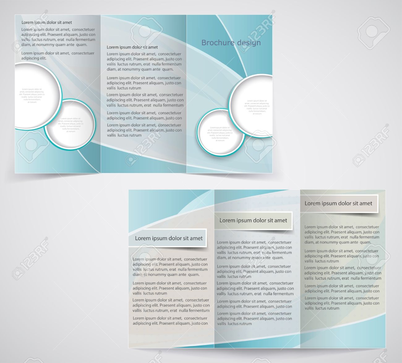 blue trifold