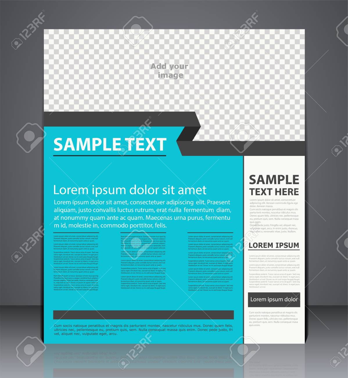 vector business brochure flyer design layout cover design in