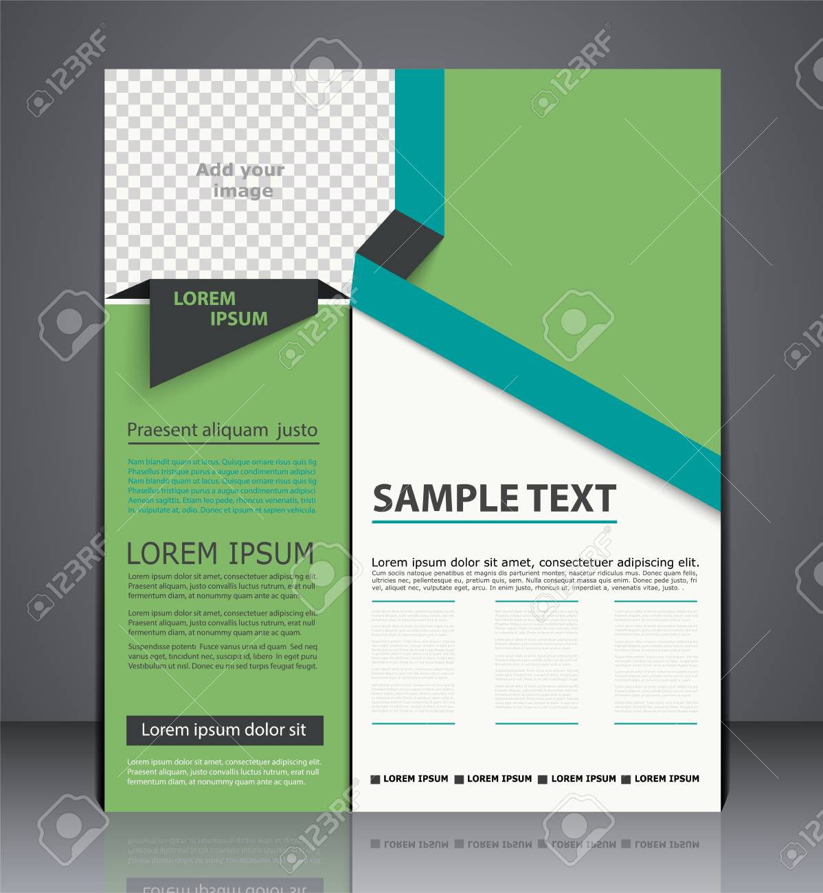 vector business brochure flyer design layout cover design in