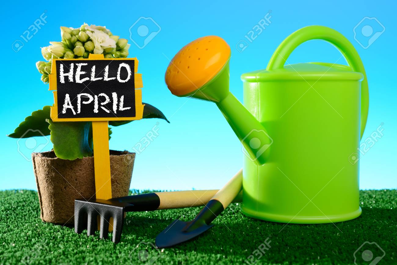 ガーデニングのためのツールとこんにちは4月は緑の草にサイン の写真素材 画像素材 Image