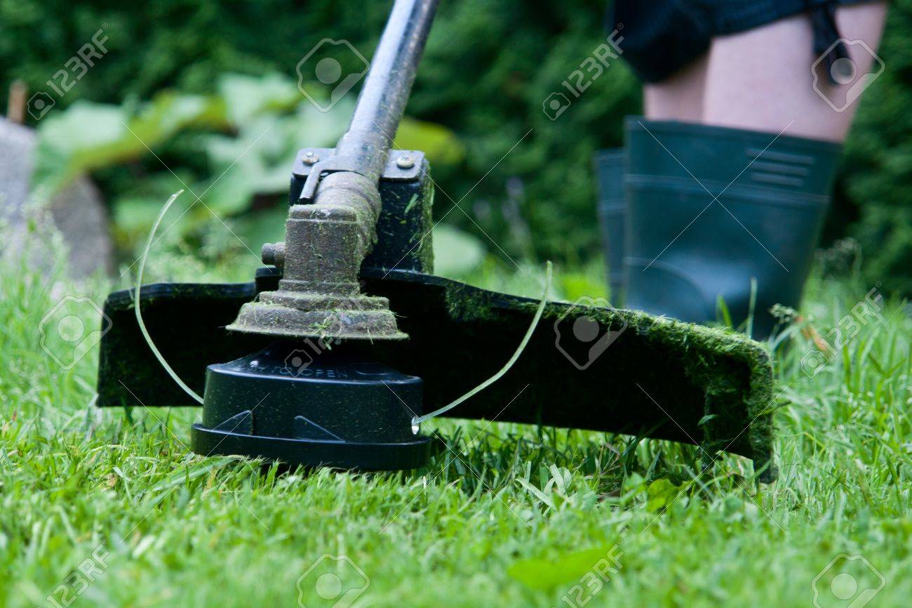electric lawn trimmer