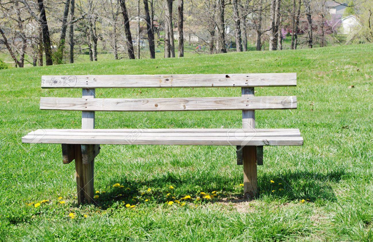 Image result for park bench