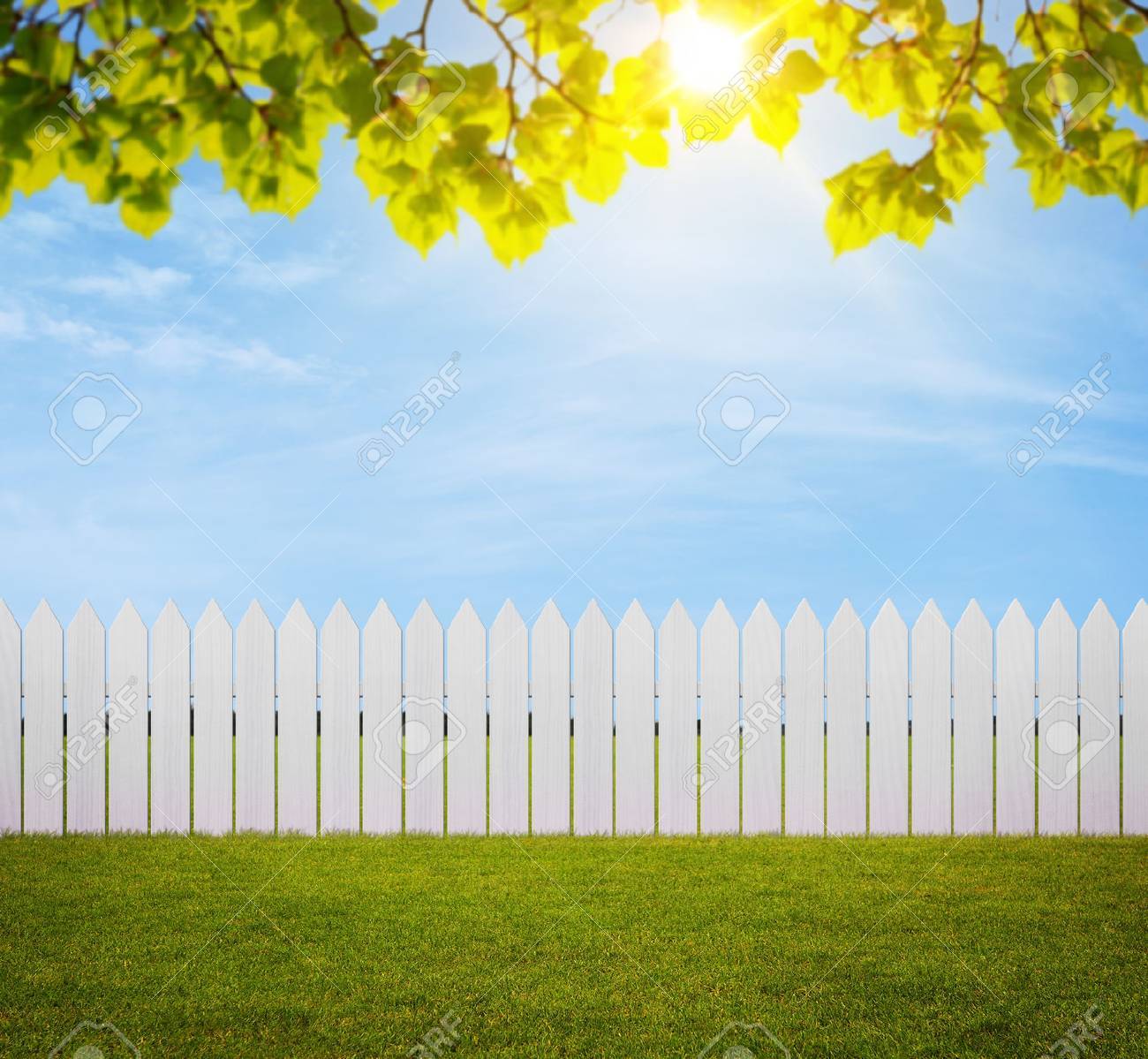Close up of white wooden fence in the back yard with copy space - 31562903 Close up of white wooden fence in the back yard with copy space - 31562903