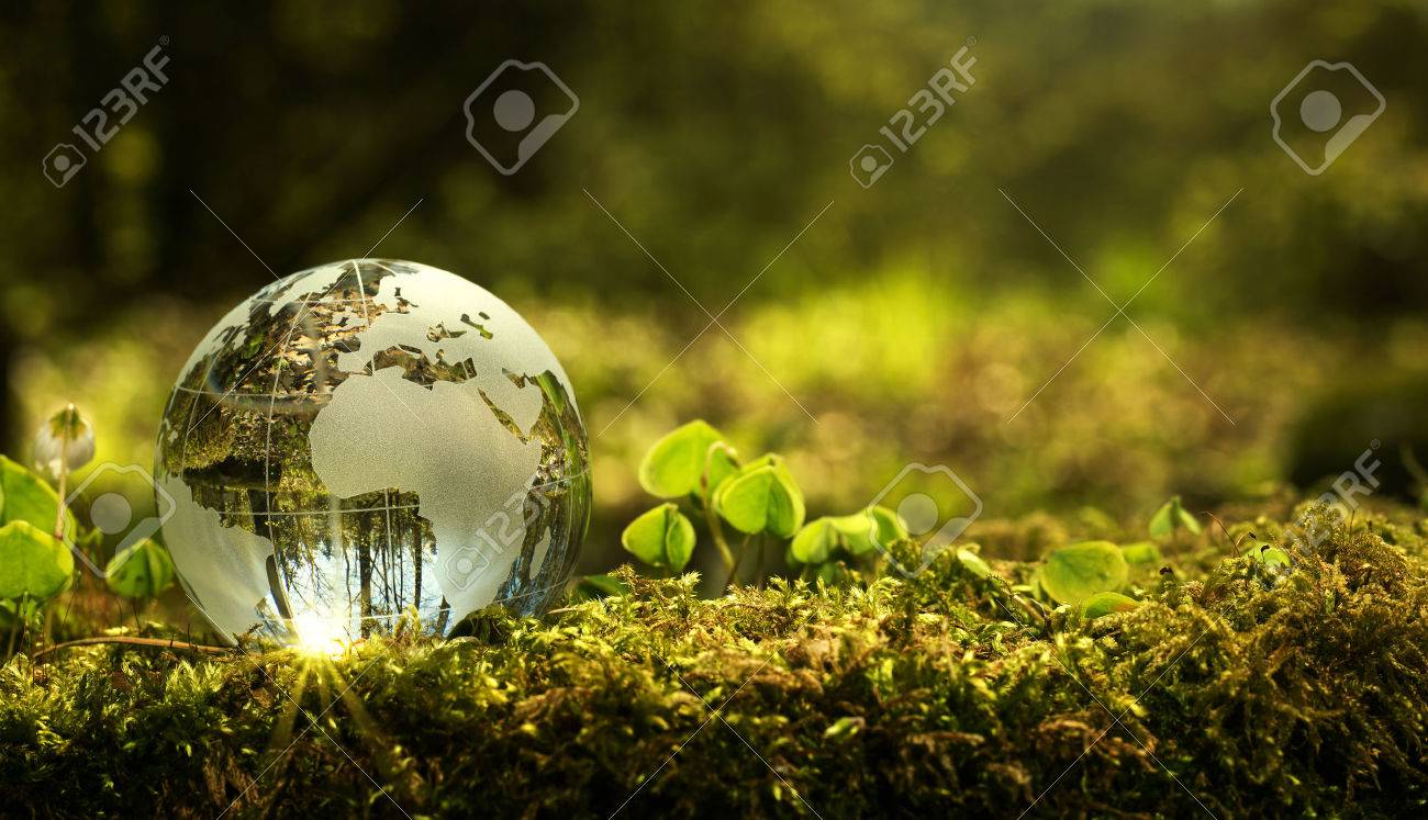 Environment conservation concept. Close up of glass globe in the forest with copy space - 77885064 Environment conservation concept. Close up of glass globe in the forest with copy space - 77885064