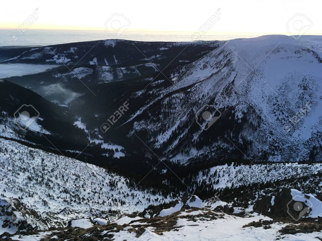 etiam-dictum-ipsum-a-felis