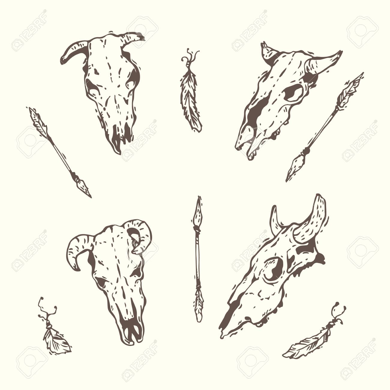 cow skulls with arrows and feathers in monochrome illustration