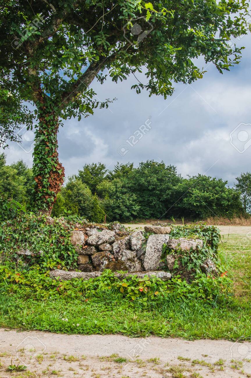 Stone Bench At The Foot Of A Tree In Finistere In France Under Stock Photo Picture And Royalty Free Image Image 121651991