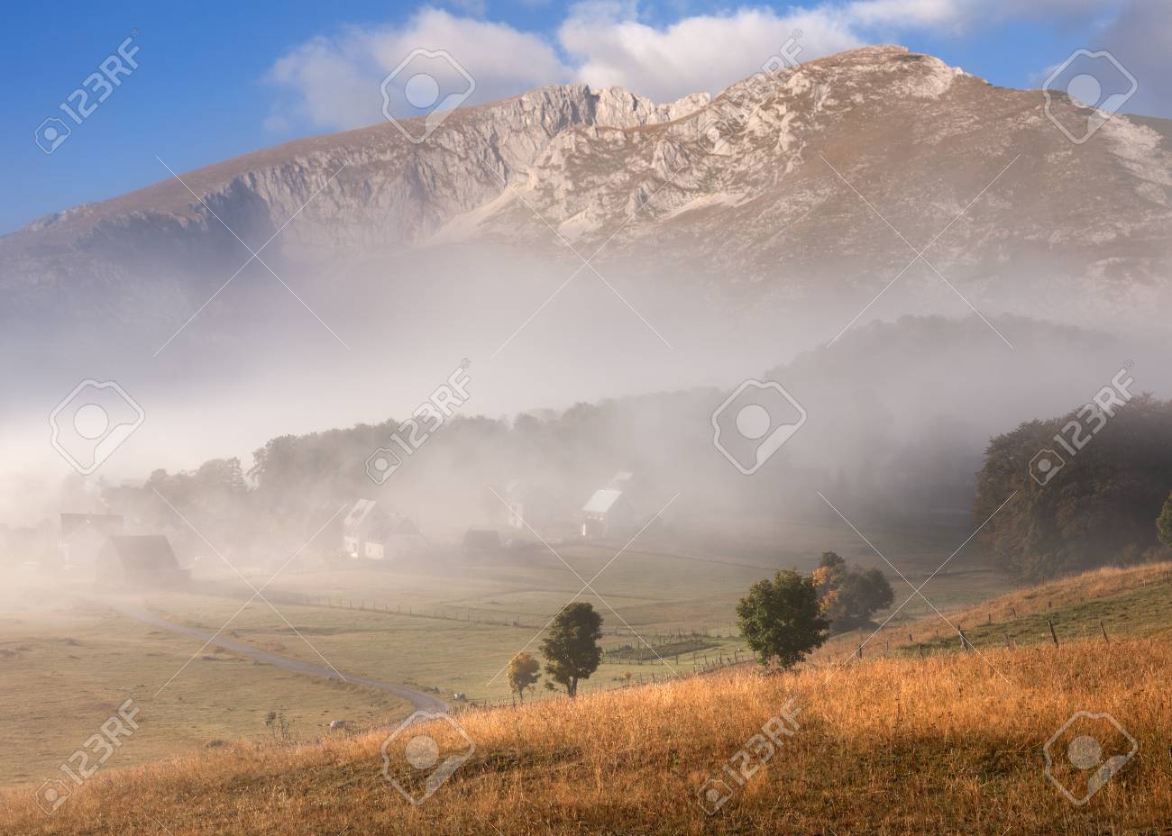 idyllic autumn scenery on
