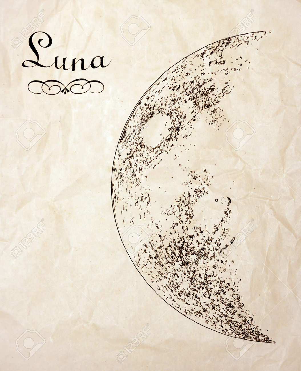 Antique sketch of half Moon drawn on the old parchment - 30691531 Antique sketch of half Moon drawn on the old parchment - 30691531