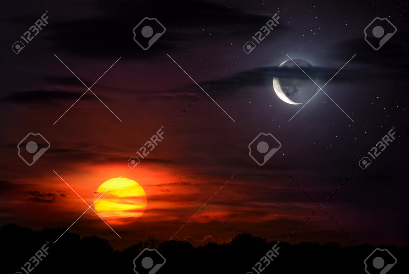 Rolli oyinlar porno tomosha