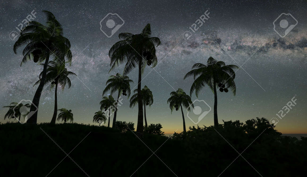 3d illustration of the palms against the sparkling stars of Milky Way - 133378154 3d illustration of the palms against the sparkling stars of Milky Way - 133378154