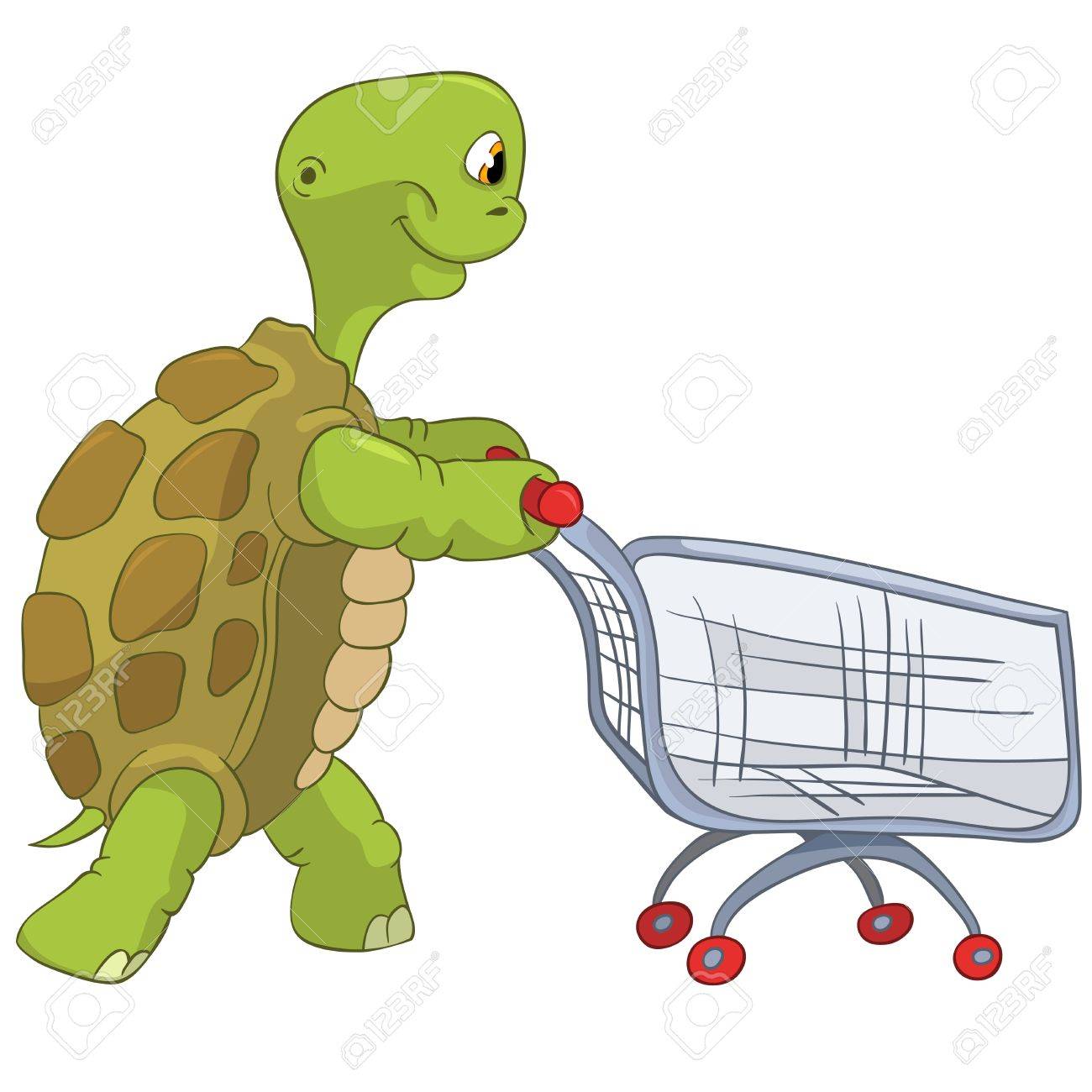 tortoise shopping