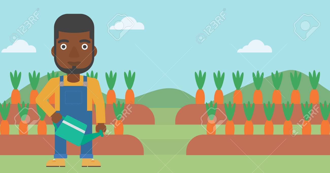 ニンジン フィールド ベクトル フラット デザイン イラストを成長の背景に水まき缶を保持しているアフリカ系アメリカ人の男 水平方向のレイアウト の イラスト素材 ベクタ Image