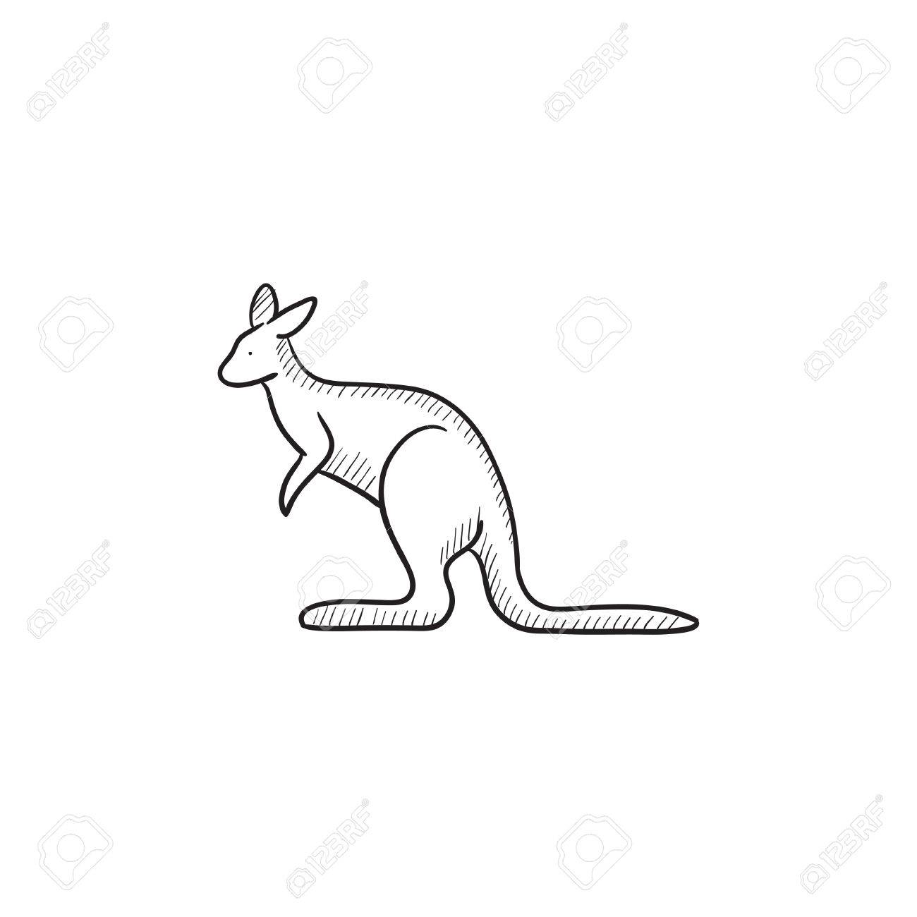 kangaroo vector sketch icon isolated on background hand drawn