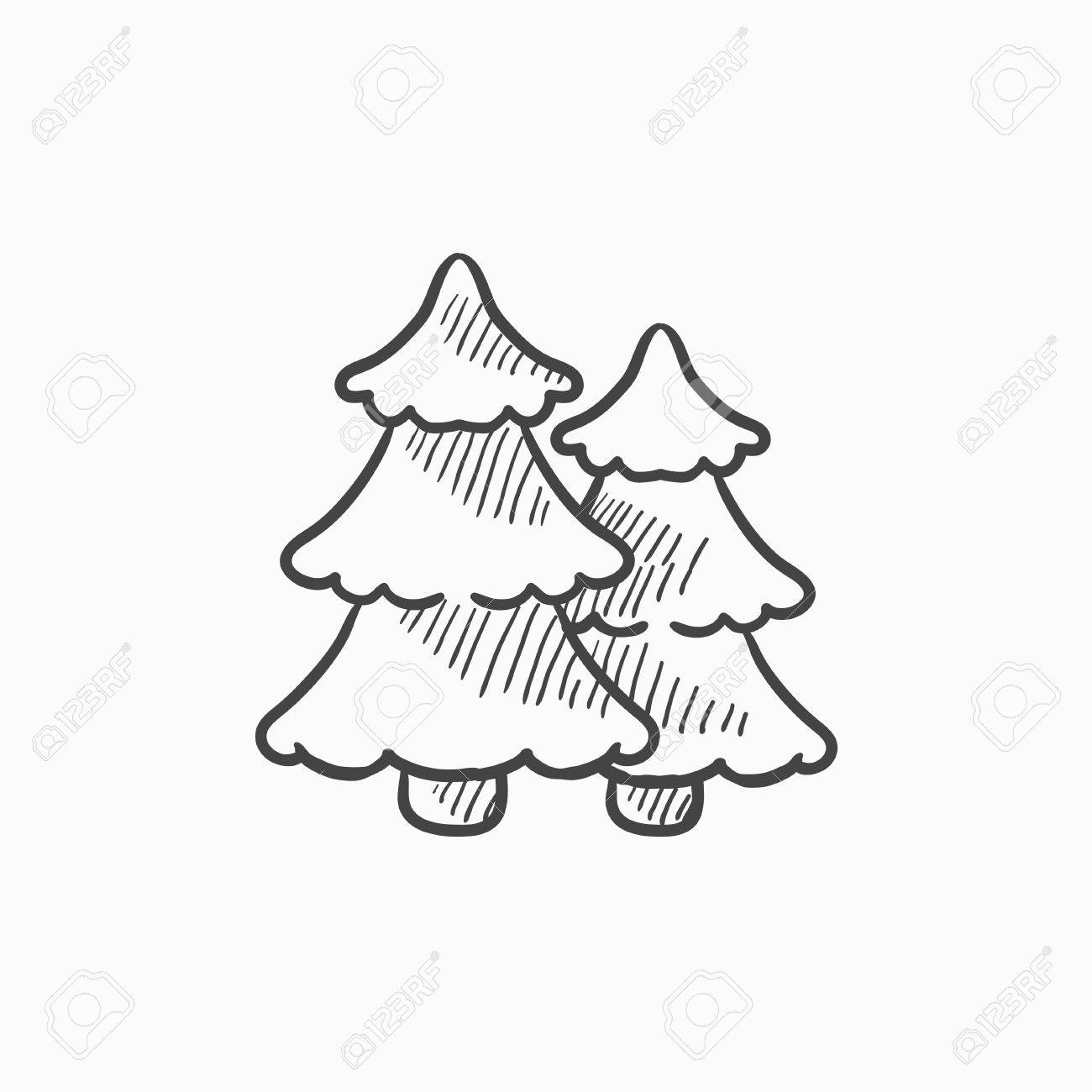 pine trees vector sketch icon isolated on background hand drawn