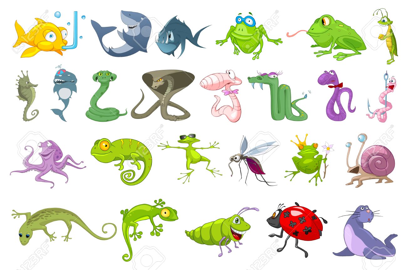 pez insecto