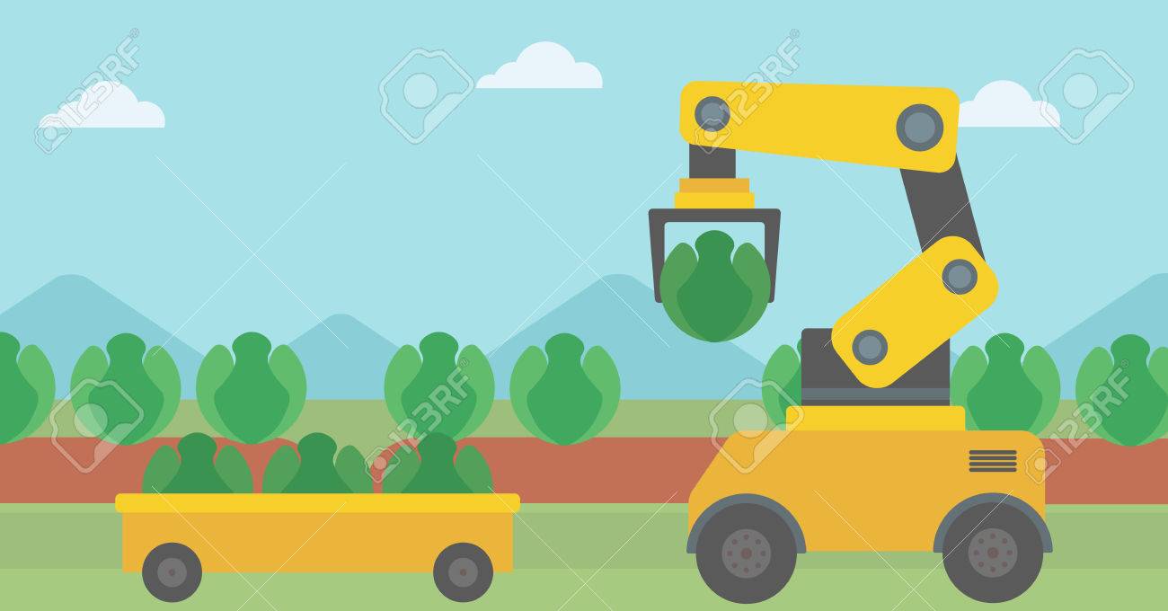 農業分野でキャベツを収穫ロボット ロボットは 収穫時にキャベツを選ぶします ロボットは 有機キャベツを収穫し 手押し車にそれを置きます ベクトル フラットなデザイン イラスト 水平方向のレイアウト のイラスト素材 ベクタ Image 3677