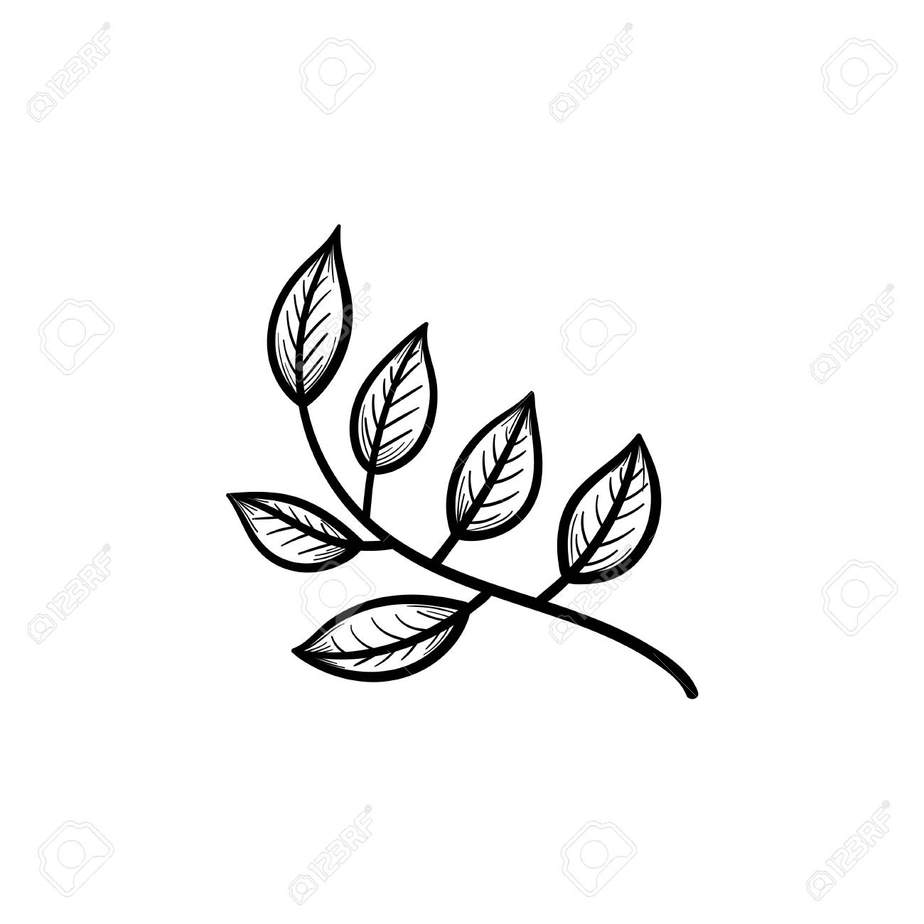 a vector hand drawn