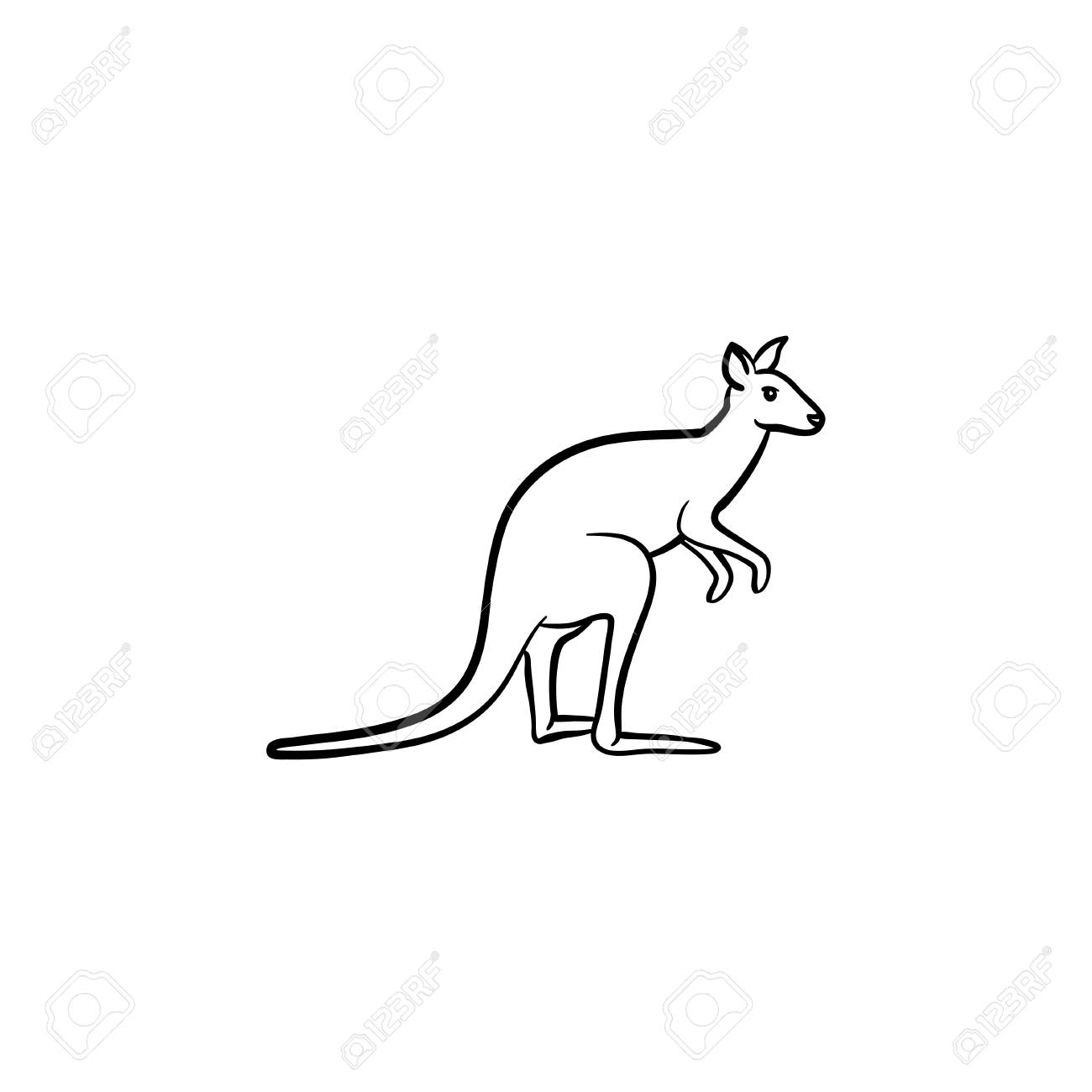kangaroo hand drawn outline doodle icon australian animal