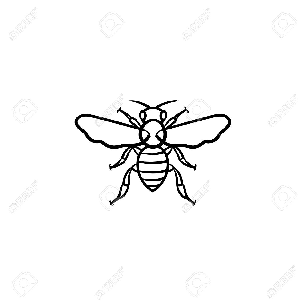 bee hand drawn outline doodle icon insect bee vector sketch