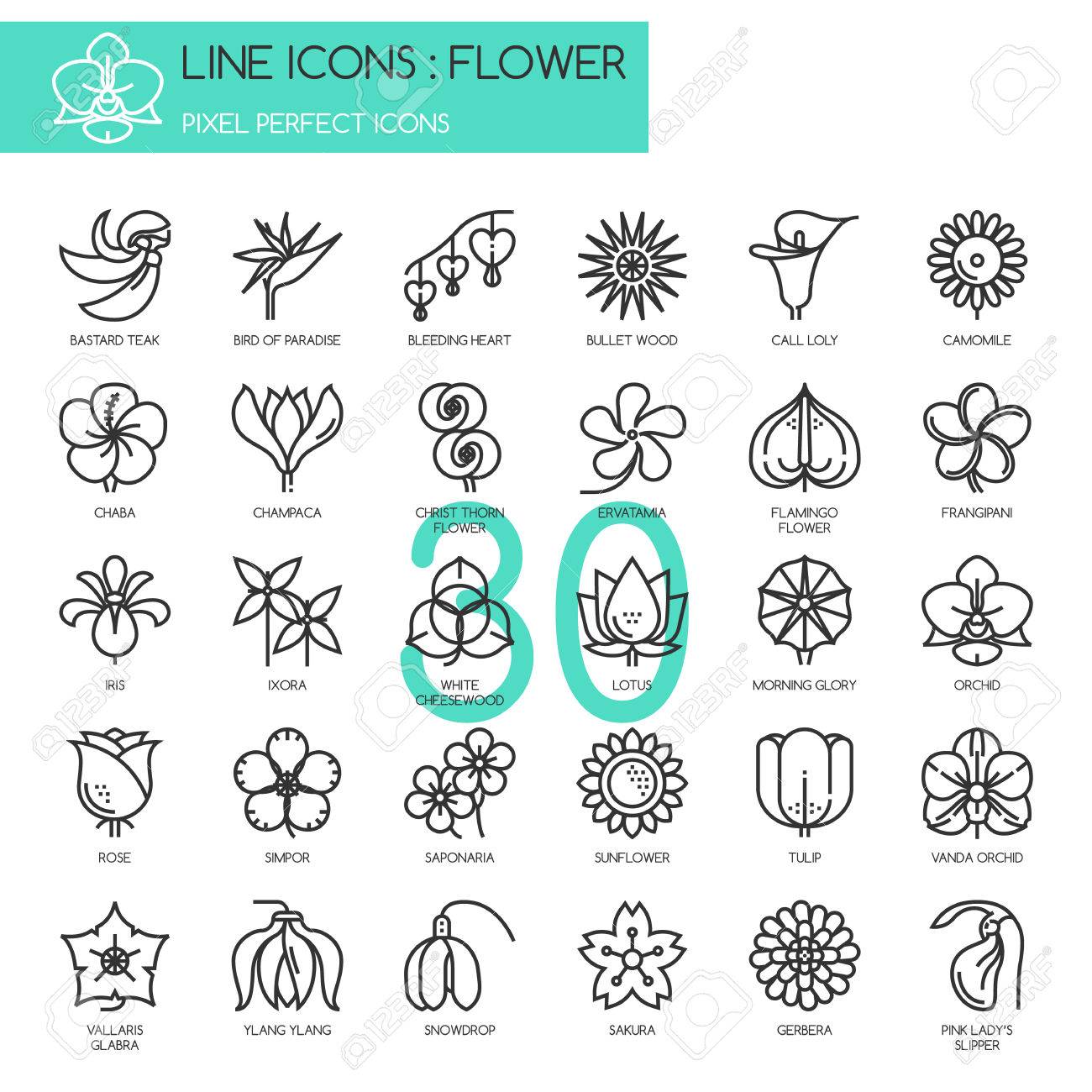 花 薄いライン アイコン セット ピクセル完璧なアイコンのイラスト素材 ベクタ Image