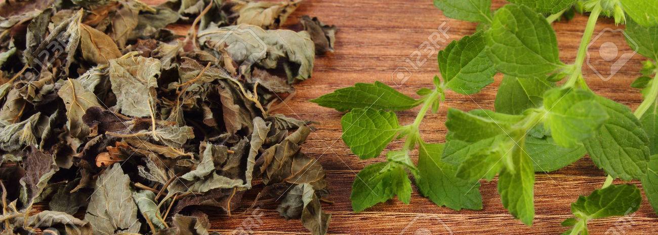 健康的なフレッシュと木製のテーブル 鎮静ハーブ 健康的な栄養と本草学の概念に乾燥したレモンバームのヒープ の写真素材 画像素材 Image