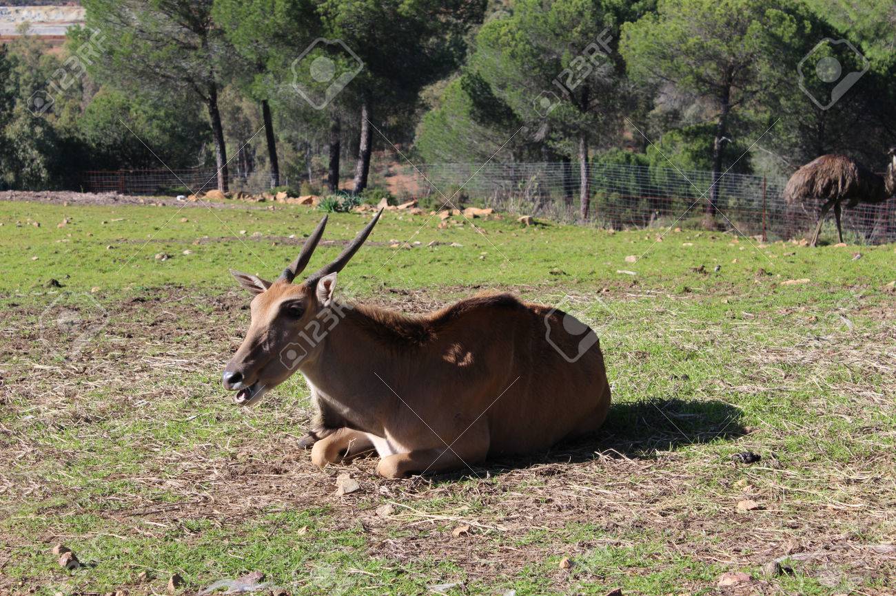 etiam-dictum-ipsum-a-felis