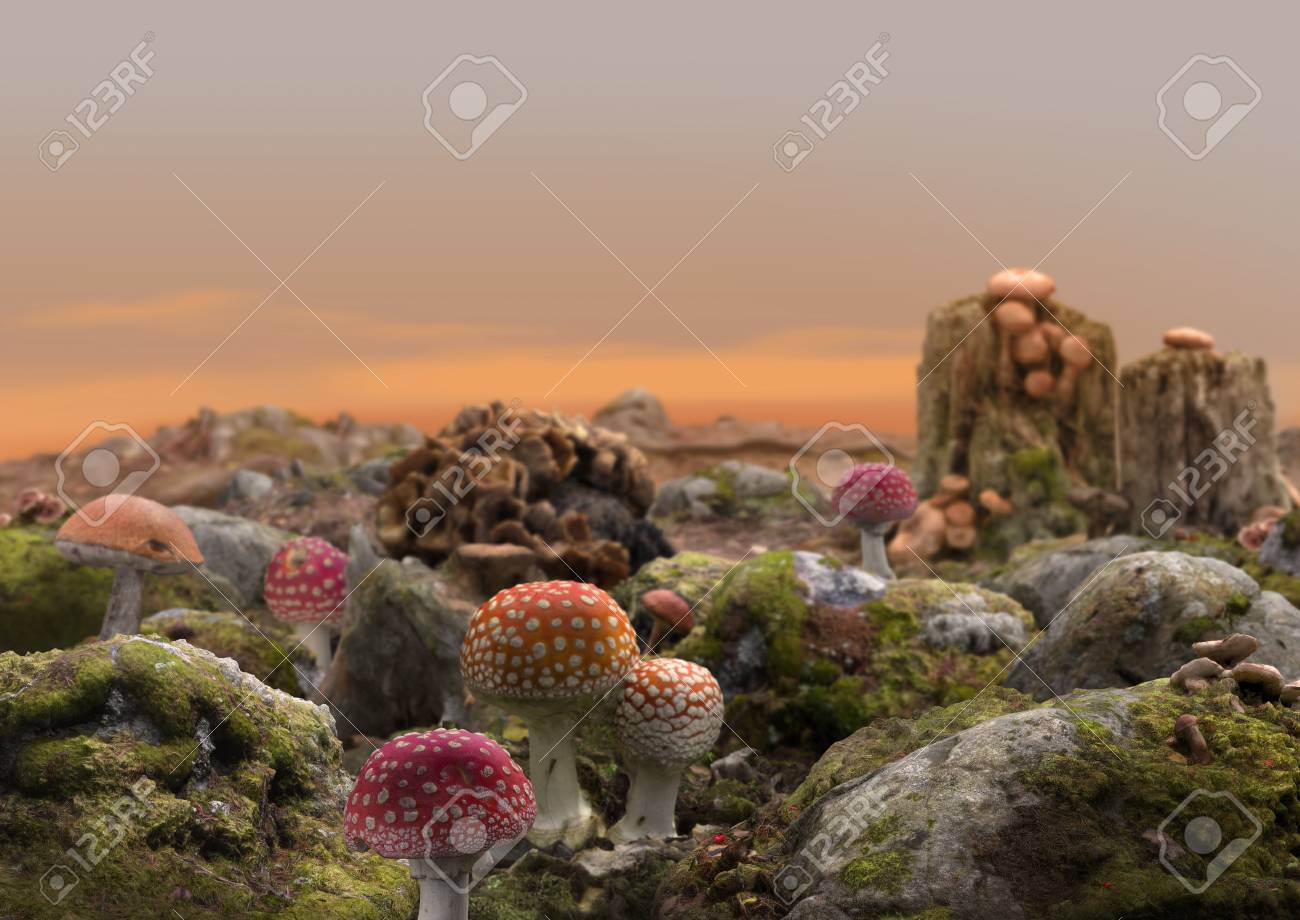 High Detail Fantasy Scene Of A Magical Fairy Mushroom World Landscape 3d Render Stock Photo Picture And Royalty Free Image Image