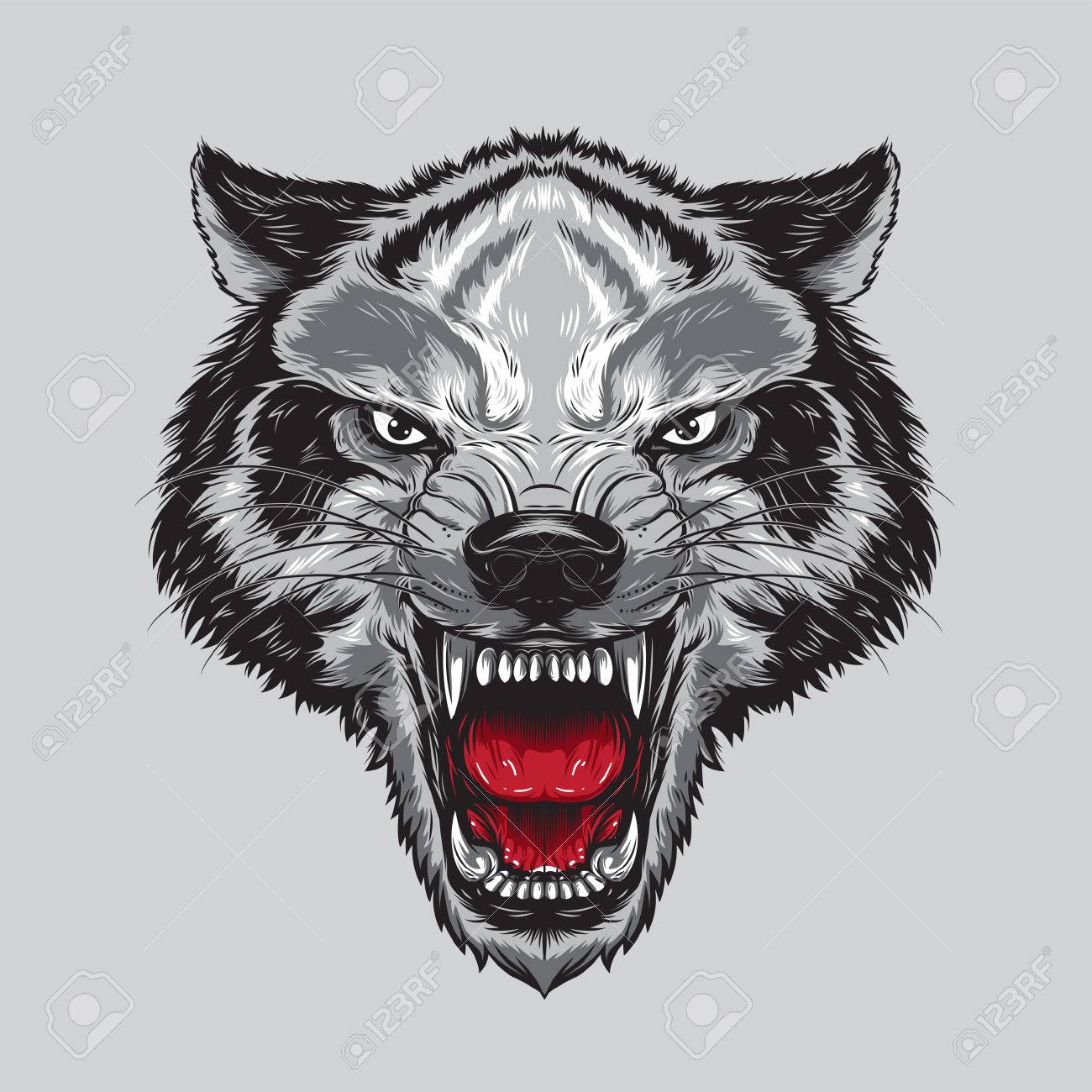 Colère Tête De Loup D Argent Montrant Les Crocs Clip Art Libres De Droits Vecteurs Et Illustration Image 60125357