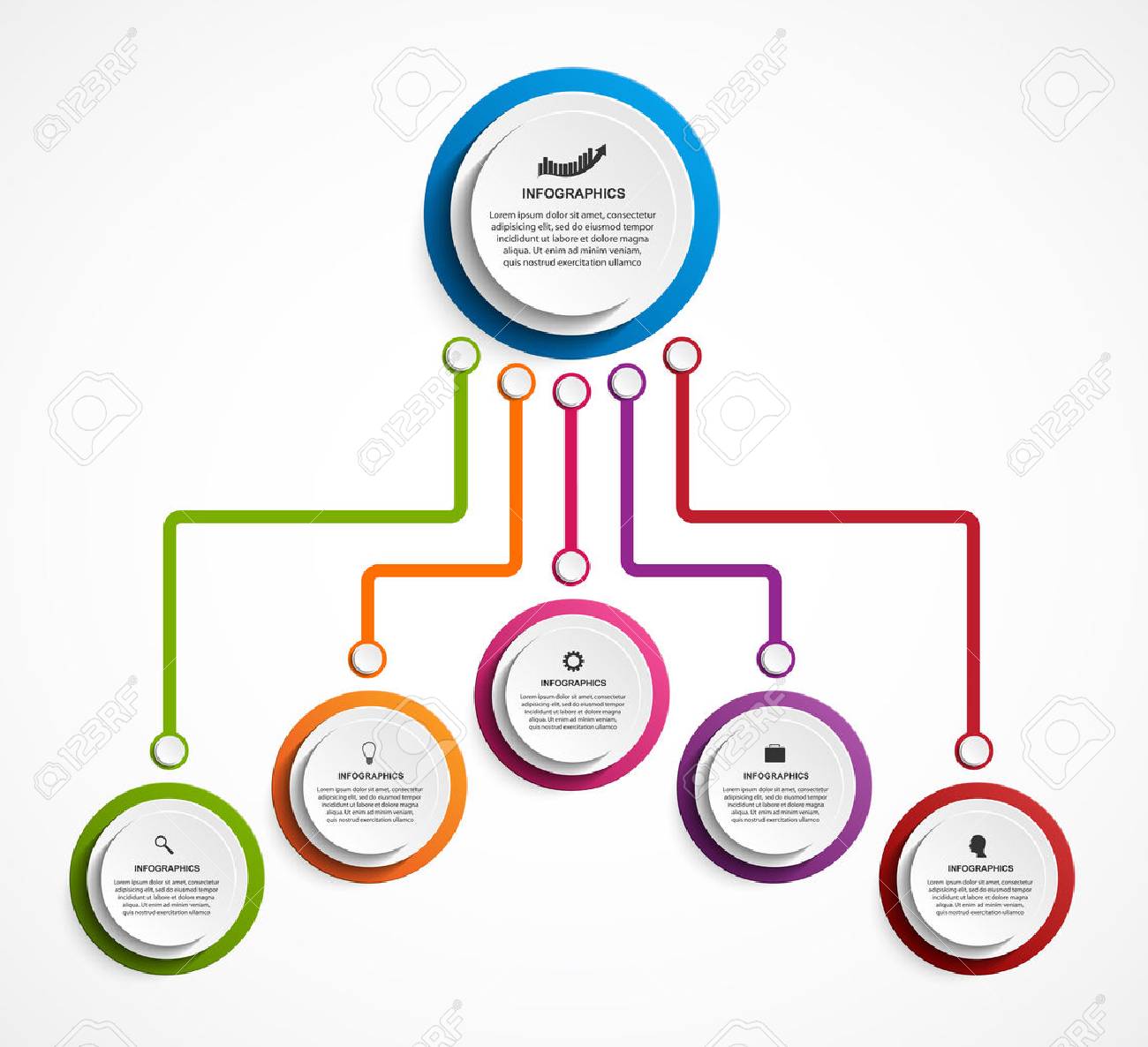 Organization Chart Infographic