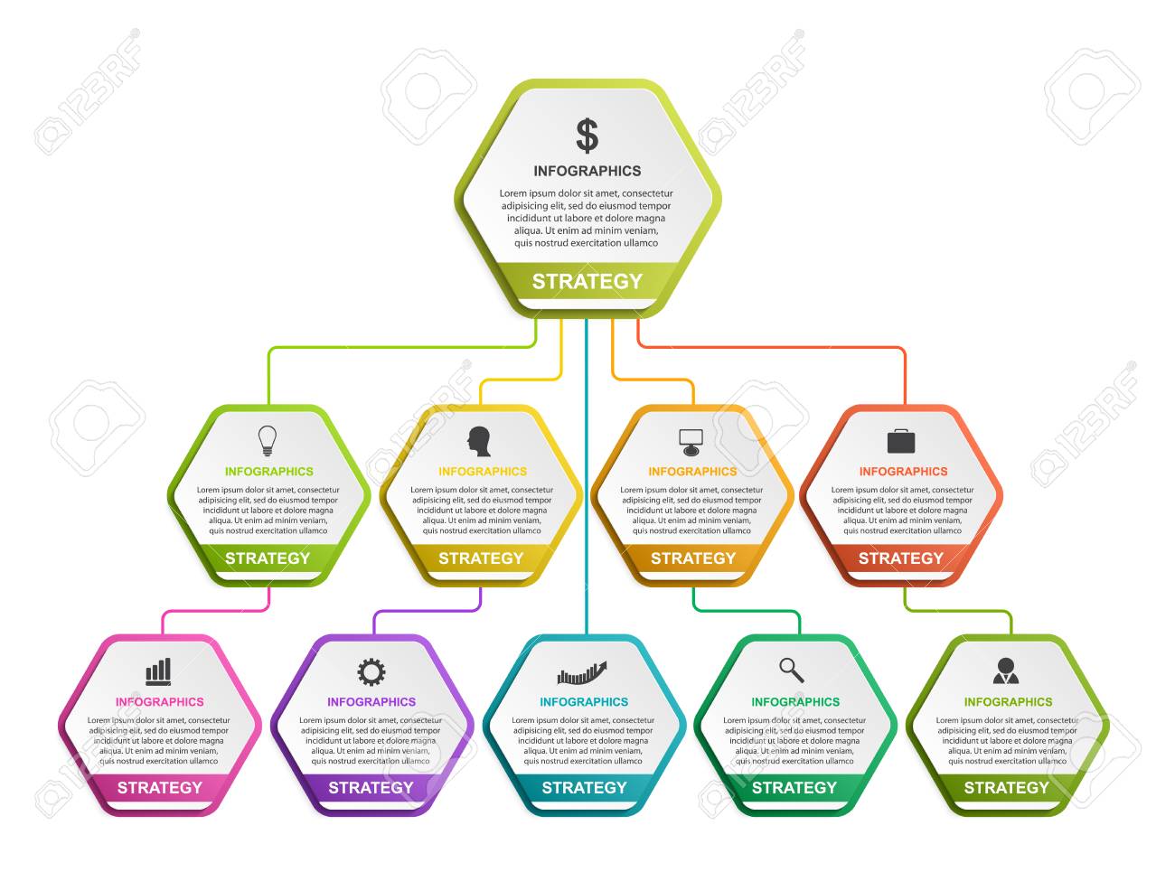 web chart template
