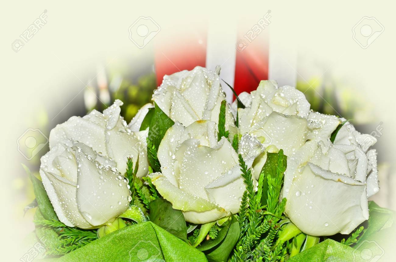 白いバラの花束 の写真素材 画像素材 Image 白いバラの花束 の写真素材 画像素材 Image