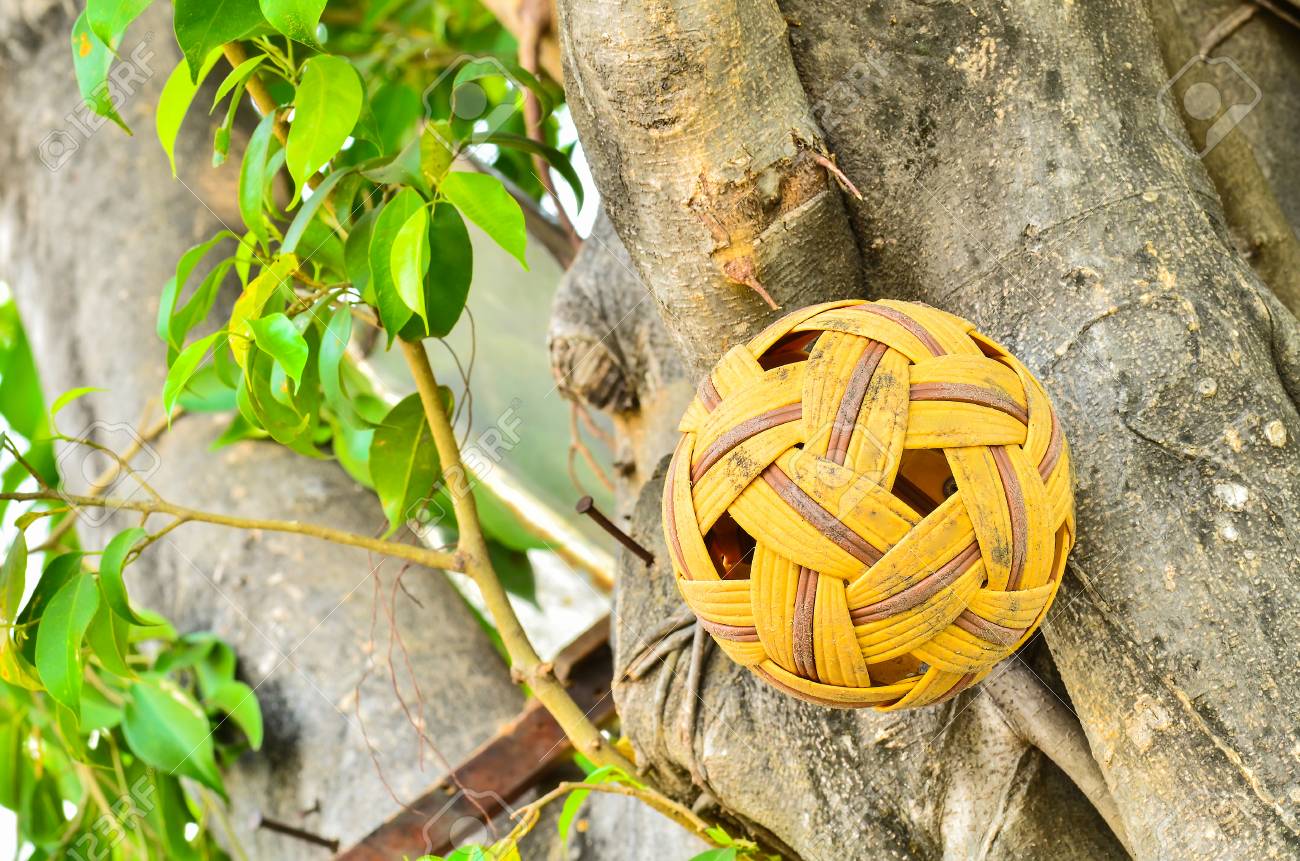 etiam-dictum-ipsum-a-felis