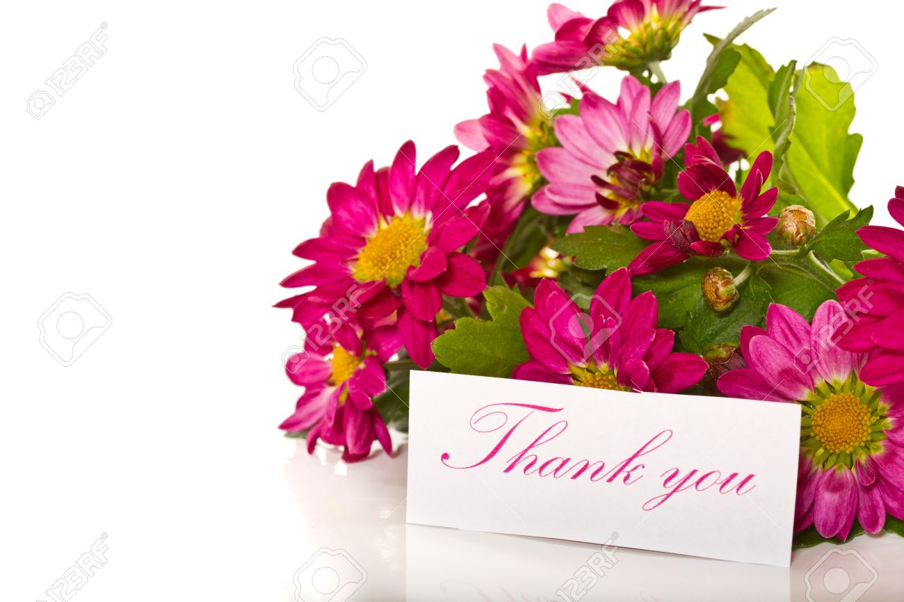 Thanks With Flowers In A Bucket On A White Background Stock Photo, Picture And Royalty Free Image. Image 18534113.
