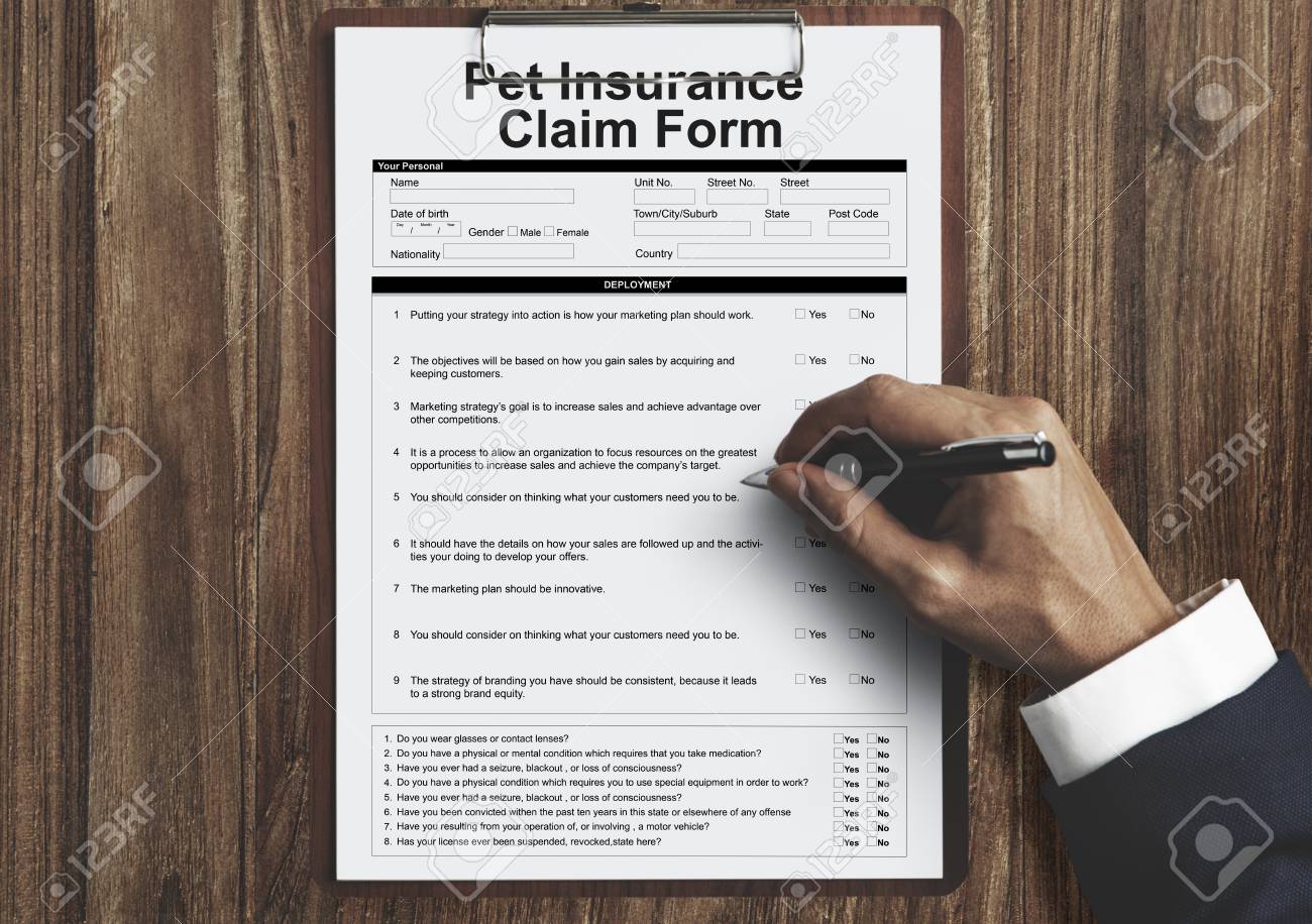 Image result for claim pet insurance