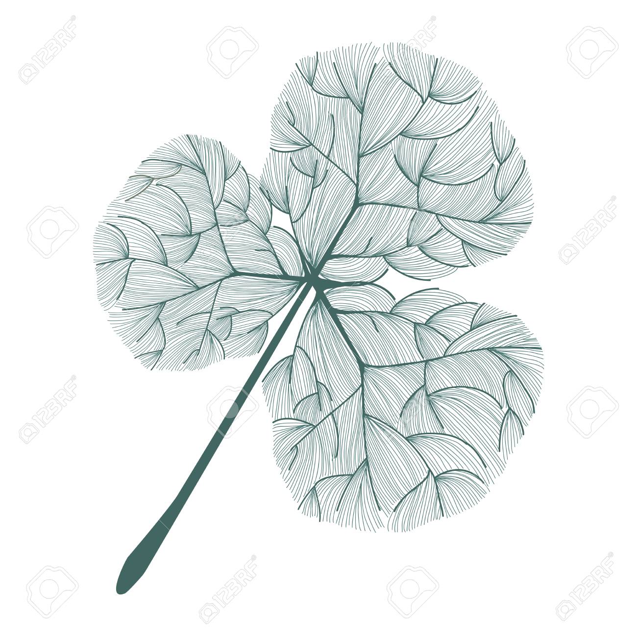 木の葉のイラスト の写真素材 画像素材 Image 木の葉のイラスト の写真素材 画像素材 Image