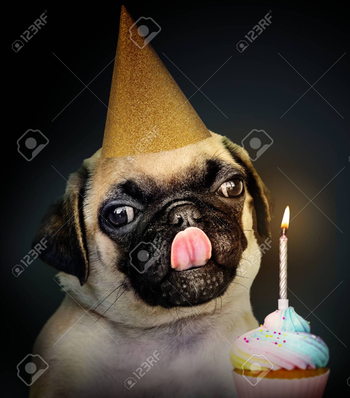 pug birthday cake ideas