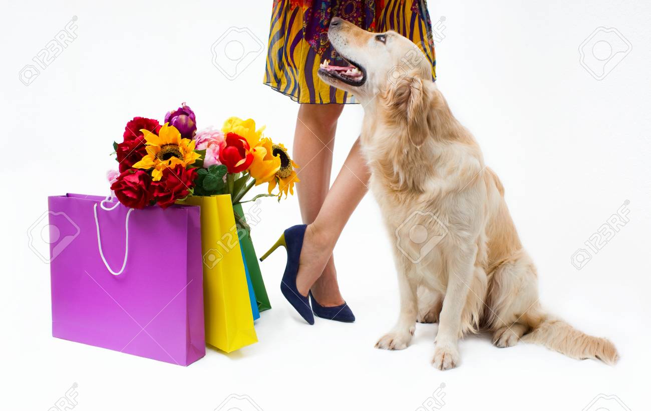 labrador shopping