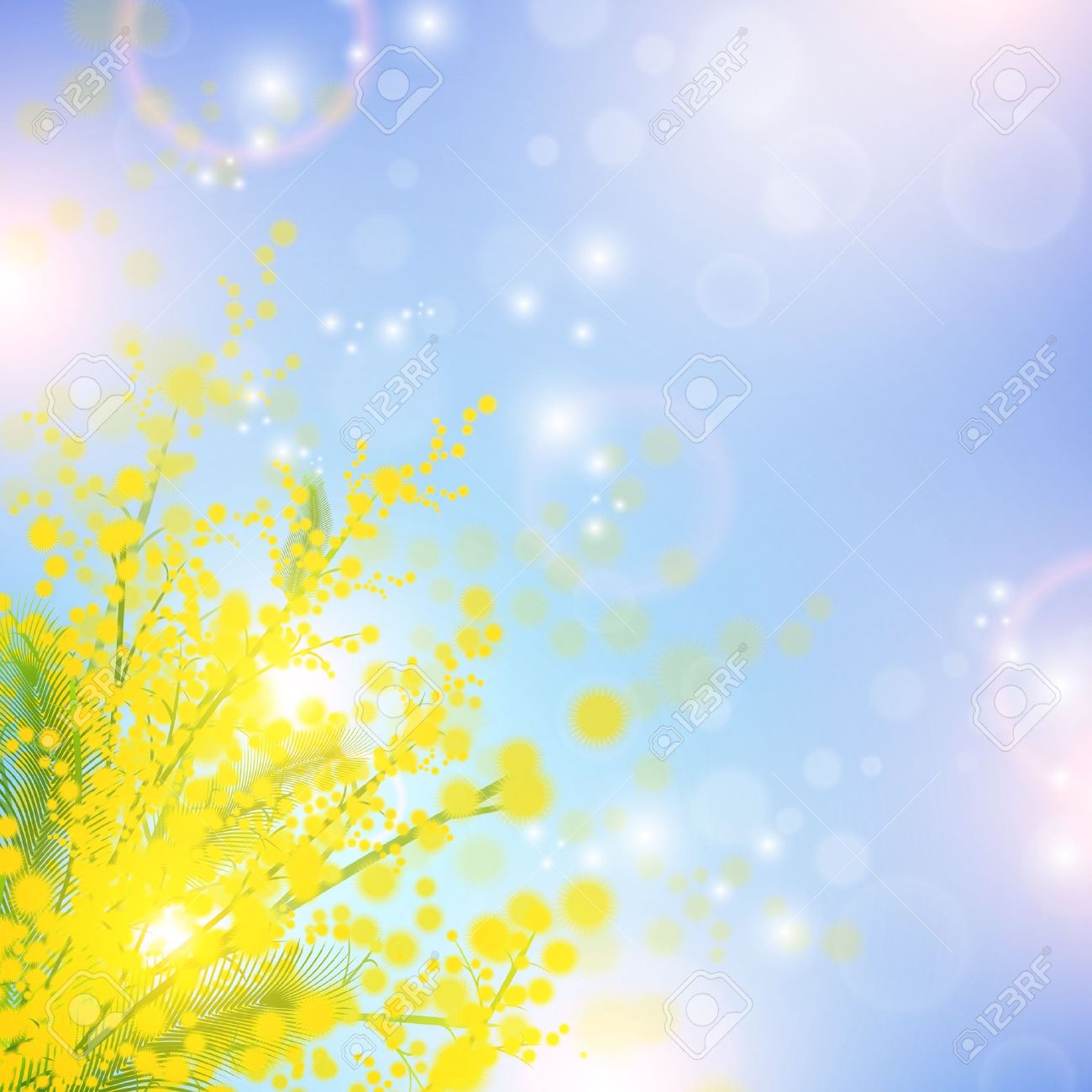 Mimosa flowers over blue sky and magic spring lights - 12250537 Mimosa flowers over blue sky and magic spring lights - 12250537